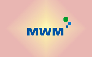 ✓ MWM 4200465 Шатун в сборе 